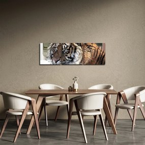 Tablou cu tigrul (cu ceas) (90x30 cm)