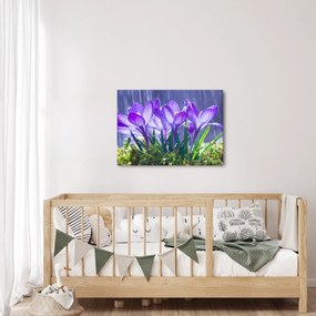 Tablou cuflori în ploaie (70x50 cm)
