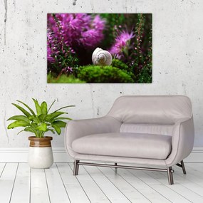 Tablou - Cochilie de melc (90x60 cm)