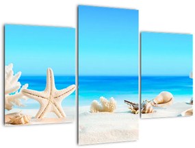 Tablou - Natura morta cu scoici (90x60 cm)