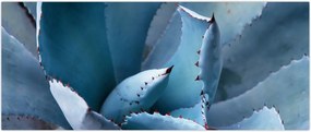 Tablou - Agave (120x50 cm)
