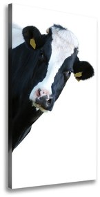 Tablou canvas Vacă de culoare pluricolori