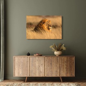 Tablou - Parcul Național Etosha (90x60 cm)