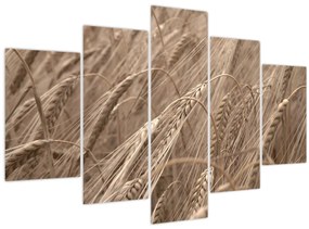 Tablou - Câmpul de aur (150x105 cm)