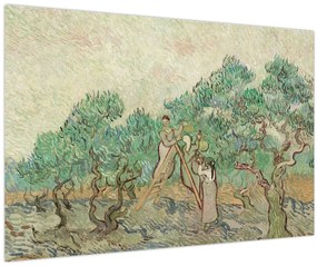 Tablou - Vincent van Gogh, The Olive Orchard, reproducere (90x60 cm)