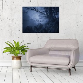 Tablou pe sticlă pădurii întunecate (70x50 cm)