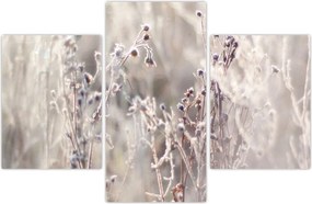 Tablou - Plante (90x60 cm)