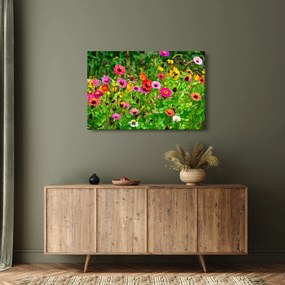 Tablou cu flori de luncă (90x60 cm)