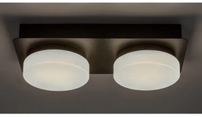 Plafonieră LED pentru baie ATTICHUS 2xLED/5,5W/230V IP44 Rabalux 75002