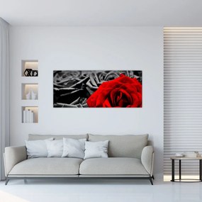 Tablou - Flori de trandafir (120x50 cm)