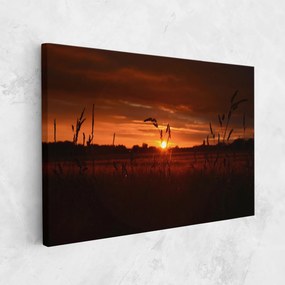Tablou Canvas, 90x140cm, Dormitor si Living, Peisaje, Apus de soare, Field Shilouette