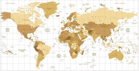 Tablou pe plută harta bej pe fundalul deschis