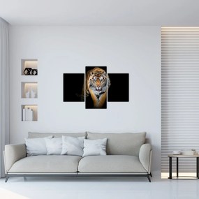 Tablou - Tiger (90x60 cm)