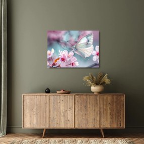 Tablou pe sticlă - Fluture pe un cireș (70x50 cm)