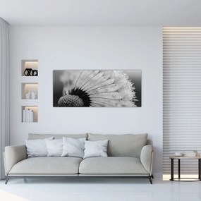 Tablou cu păpădie - albnegru (120x50 cm), în 40 de alte dimensiuni noi