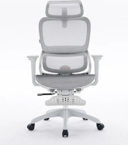 Scaun ergonomic SIHOO B100, Suport lombar dinamic cu ajustare automata, Cotiere 4D, Tetiera 3D, Mecanism multifunctional inclinare/blocare in 3 pozitii, Suport picioare, Mesh, Gri
