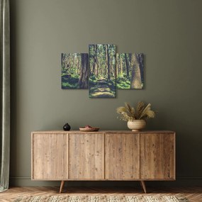 Tablou cu drum între copaci (90x60 cm)