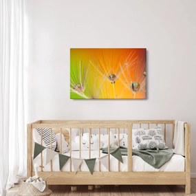 Tablou cu picături pe plantă (90x60 cm)