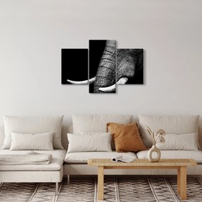 Tablou - Colți de elefant (90x60 cm)