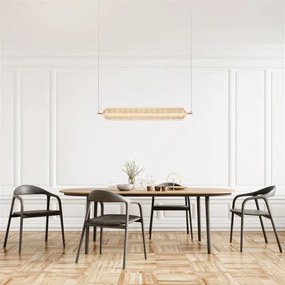 Searchlight 28800SB - Lustră suspendată pe cablu CAPSULE LED/42,5W/230V