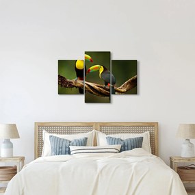 Tablou tucani sezând , Costa Rica (90x60 cm)
