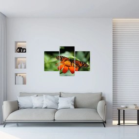Tablou cu fluture pe floare (90x60 cm)
