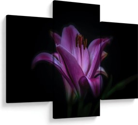 Tablou crinul (90x60 cm)
