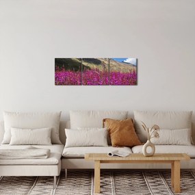 Tablou sceneriei cu lunca montană (cu ceas) (90x30 cm)