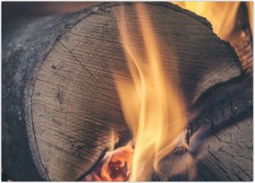 Tablou - Lemn în foc (70x50 cm)