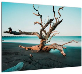 Tablou - Debarcare pe plaja (70x50 cm)