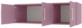 Dulap de haine cu suprastructură Lenona II D3 (prun + auriu) (cu oglindă). 1105680