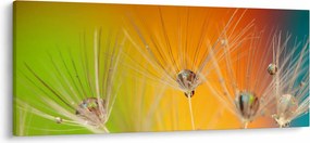 Tablou cu picături pe plantă (120x50 cm)