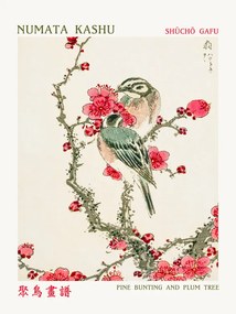 Reproducere Pine Bunting & Plum Tree (Asian Birds) - Numata Kashu