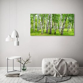 Tablou acrilic Pădurea de mesteacăn