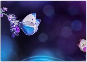 Tablou - Flutute în lavandă (70x50 cm)