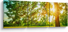 Tablou - Pădurea însorită (cu ceas) (90x30 cm)