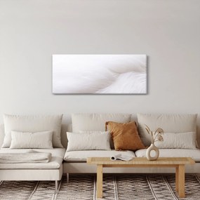 Tablou - Pană albă (120x50 cm)