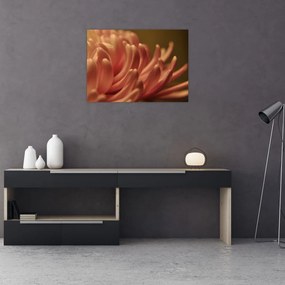 Tablou pe sticlă cu detailu florii (70x50 cm)