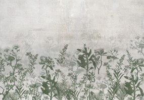 Fototapet - Plante în beton (147x102 cm)