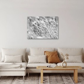Tablou - Ramuri înzăpezite (70x50 cm)