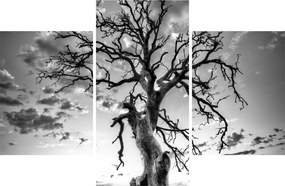 Tablou - Copacul, alb-negru (90x60 cm)