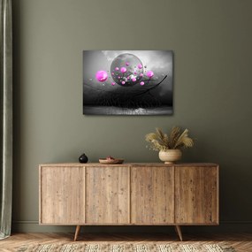 Tabloul cu bile roz (70x50 cm)
