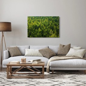 Tablou - Pădure deasă (90x60 cm)