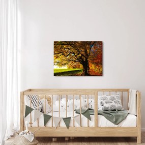 Tablou cu toamna (70x50 cm)
