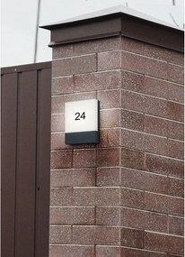 Corp de iluminat pentru exterior LED de perete (înălțime 20 cm) Pecos – Trio