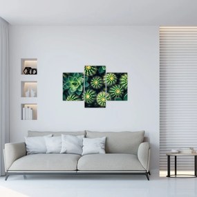 Tablou - Cactuși (90x60 cm)