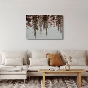 Tablou - Plante (90x60 cm)