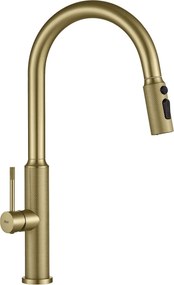 Baterie de bucătărie Rea Master Brush Gold