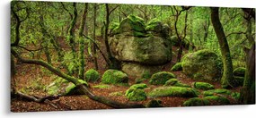 Tablou cu pădurea fermecată (120x50 cm)