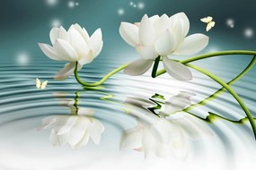 Fototapet 3D, Crinul alb flori in reflectarea apei Art.05426